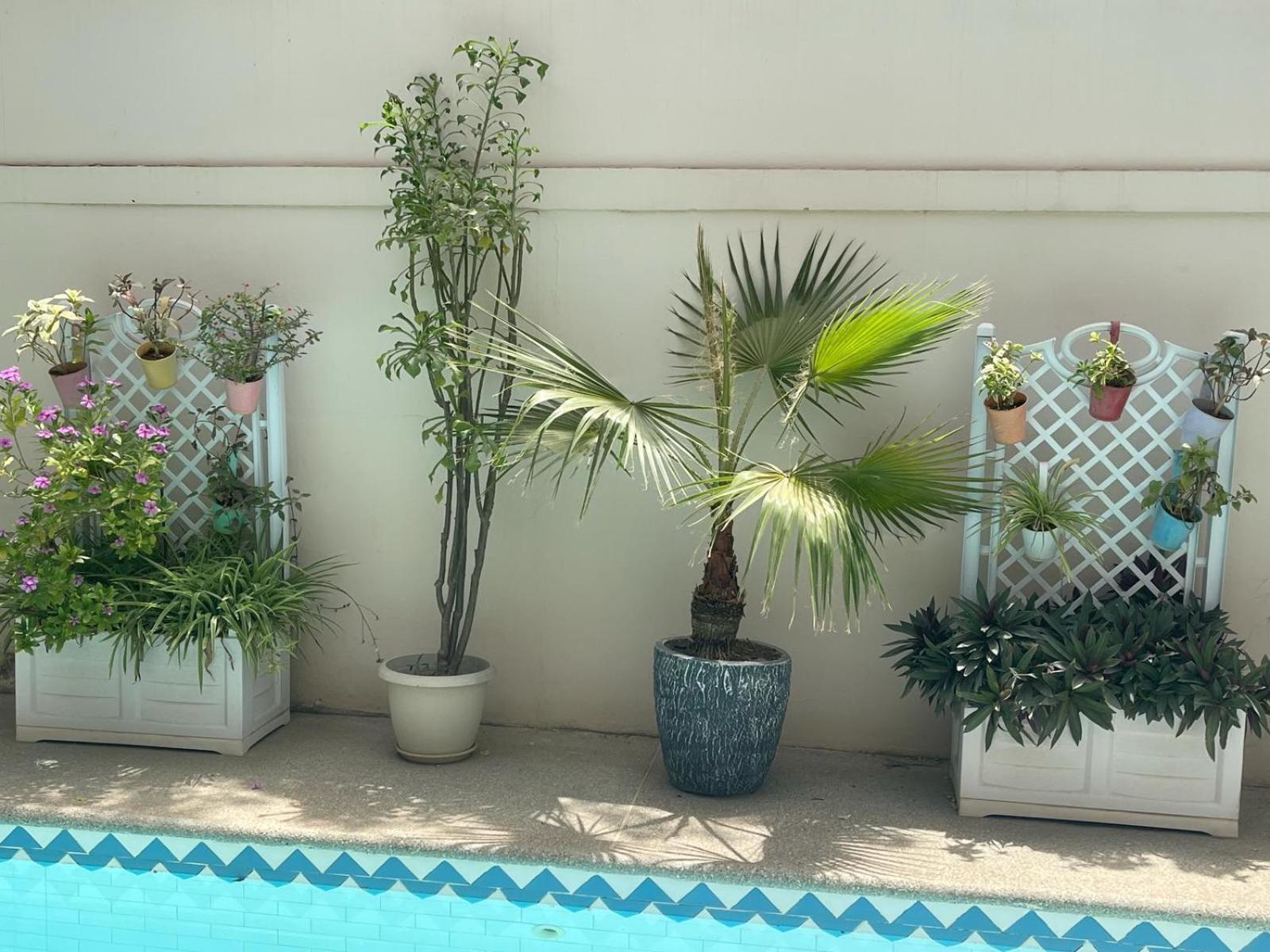 Villa Ngore Saly Exterior foto